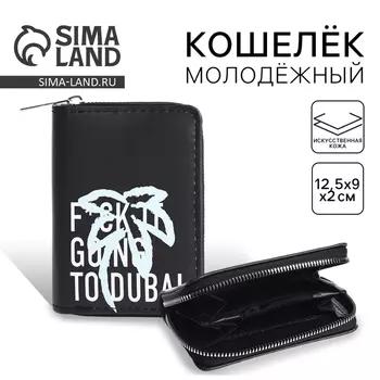 Кошелёк на молнии Going to Dubai