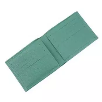 Кошелек н/к, без застежки, карманов 8, отделов 1, цвет бирюза флотер Пр900