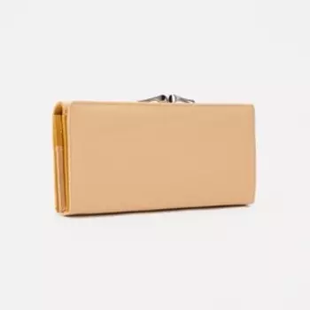 Кошелек на магнитах, цвет желтый