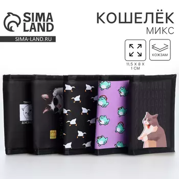 Кошелёк детский «Мемы», 2411.5 см, МИКС