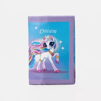 Кошелёк на липучке, цвет розово/голубой