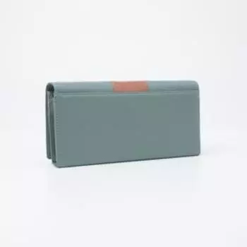 Кошелёк на магнитах, цвет голубой