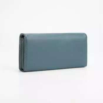 Кошелёк на магнитах, цвет голубой