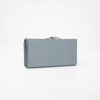 Кошелёк на магнитах, цвет голубой