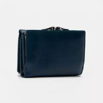 Кошелёк на магнитах, цвет синий