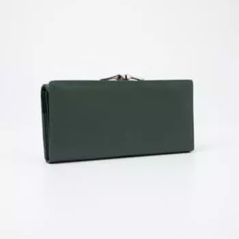 Кошелёк на магнитах, цвет зелёный