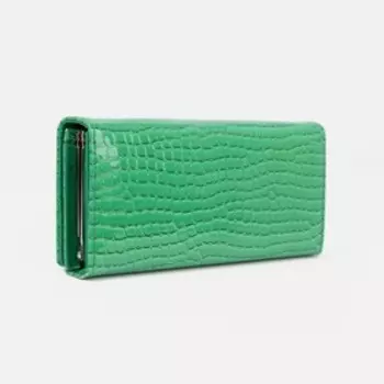 Кошелёк на магнитах, цвет зелёный