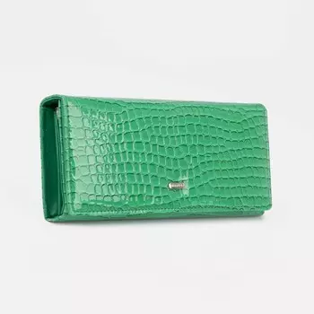 Кошелёк на магнитах, цвет зелёный