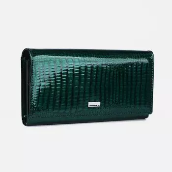 Кошелёк на магнитах, цвет зелёный