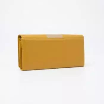 Кошелёк на магнитах, цвет жёлтый