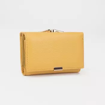 Кошелёк на магнитах, цвет жёлтый
