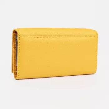 Кошелёк на магнитах, цвет жёлтый