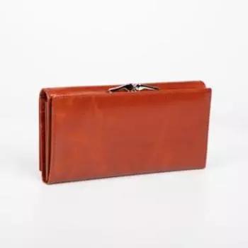 Кошелёк на магните, цвет рыжий