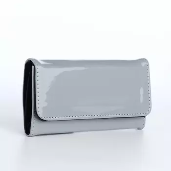 Кошелёк женский на магните, 19.52.59 см, лаковый, серый