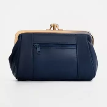 Косметичка на фермуаре, 2 отдела, цвет синий