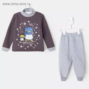 Костюм для мальчика (водолазка/брюки) Пингвиненок, 98 см