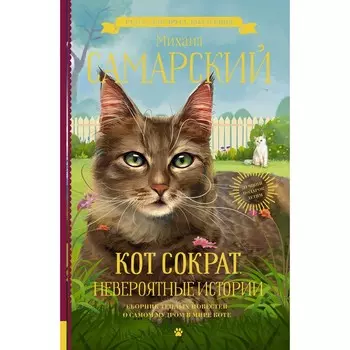 Кот Сократ. Невероятные истории. Самарский М.А.