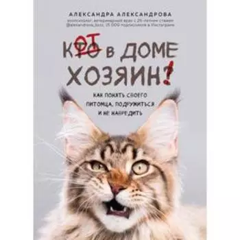 Кот в доме хозяин! Как понять своего питомца, подружиться и не навредить