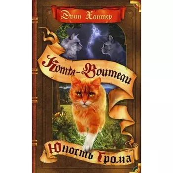 Коты-воители. Юность Грома. Хантер Э.