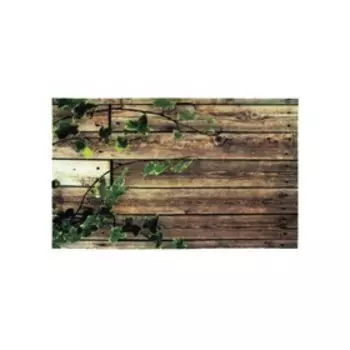 Ковёр «Оскар Дижитал», размер 40х60 см