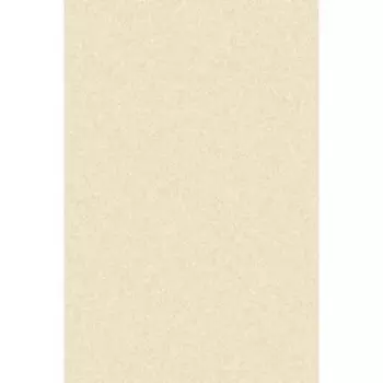 Ковёр прямоугольный Platinum t600, размер 200 х 400 см, цвет cream