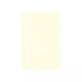 Ковёр прямоугольный Shaggy ultra s600, размер 200 х 300 см, цвет cream