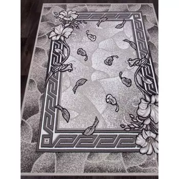 Ковёр прямоугольный Silver d201, размер 110x60 см, цвет gray