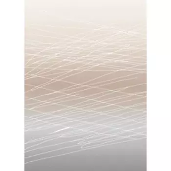 Ковёр прямоугольный «Визион», размер 250x350 см