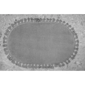 Коврик Carolina, размер 60х100 см, цвет темно-серый