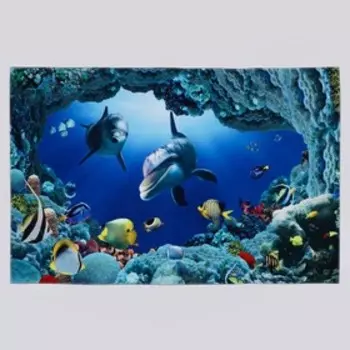 Коврик Доляна «Дельфины», 80×120 см