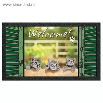 Коврик придверный Format Print «Котята», 40 х 68 см