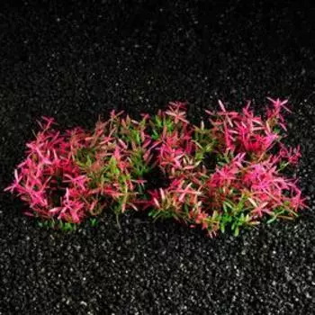 Коврик растений для аквариума, 23 х 12 х 5 см, розово-зелёное