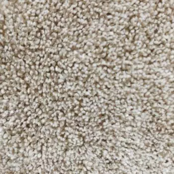 Ковровая дорожка «Тафтинг», размер 100x2400 см