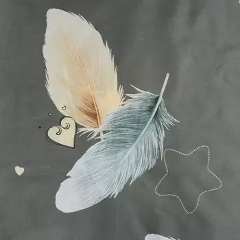 Постельное бельё 1,5сп Экономь и Я "Перо" 143*215см, 145*214см, 50*70см-1шт, 60г/м2, микрофибра