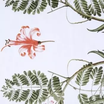 КПБ Colibri 2 сп, 240 х 215 см, 175 х 210 см, 50 х 70 см, 70 х 70 см по 2 шт., сатин