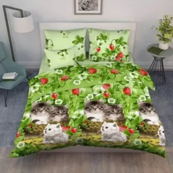 Постельное бельё евро «Котята», размер 200x220 см, 200x215 см, 70x70 см - 2 шт