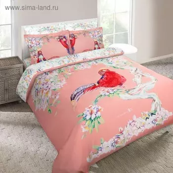 Постельное бельё 2 сп Fazan, размер 215х240 см, 175х210 см, 50х70 см - 2 шт, 70х70 см - 2 шт