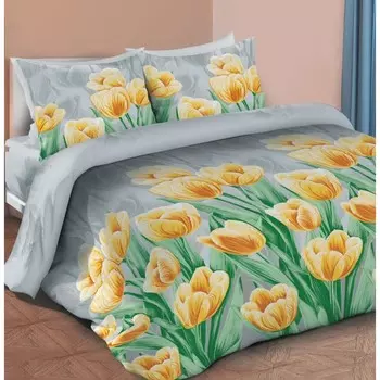 КПБ «Натали» 2 сп, 220x190 см, 217x175 см, 70х70 см - 2 шт
