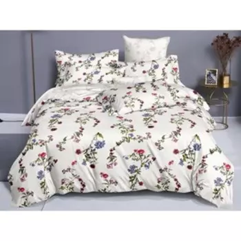 КПБ Pure Cotton евро, размер 220x240 см, 200x220 см, 50x70 см-2 шт, 70x70 см-2 шт