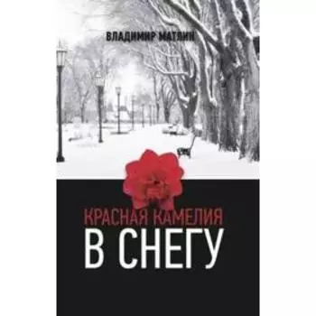 Красная камелия в снегу. Матлин В.