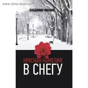 Красная камелия в снегу. Матлин В.