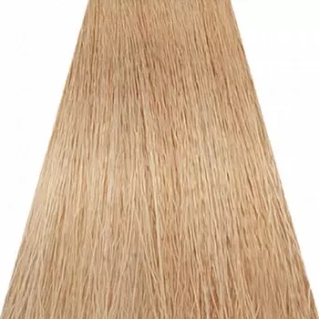 Крем-краска для волос Concept Soft Touch, без аммиака, тон 10.38, 100 мл