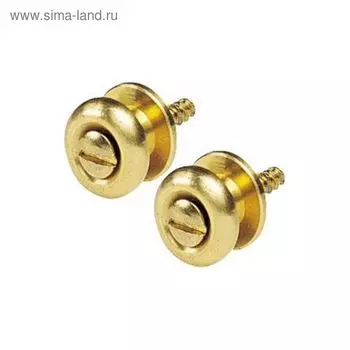 Крепление ремня D'Andrea EP-24G золотое