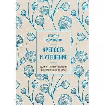 Крепость и утешение. Брянчанинов И.