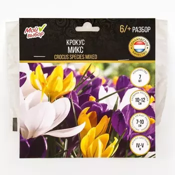 Крокус Микс, р-р 6/+, 7 шт