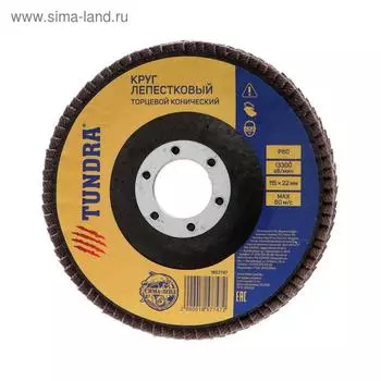 Круг лепестковый торцевой конический ТУНДРА, 11522 мм, Р80
