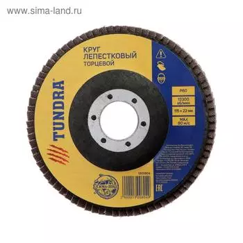 Круг лепестковый торцевой ТУНДРА, 11522 мм, Р60