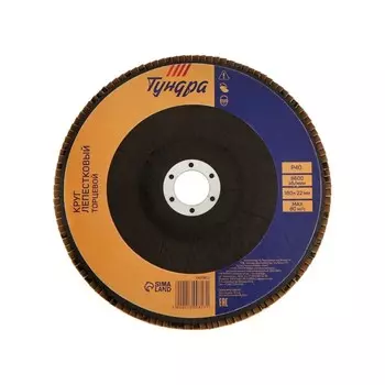 Круг лепестковый торцевой ТУНДРА, 18022 мм, Р40