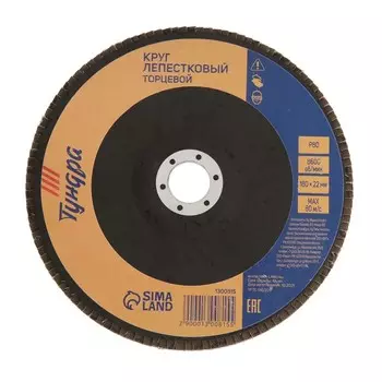 Круг лепестковый торцевой ТУНДРА, 18022 мм, Р80