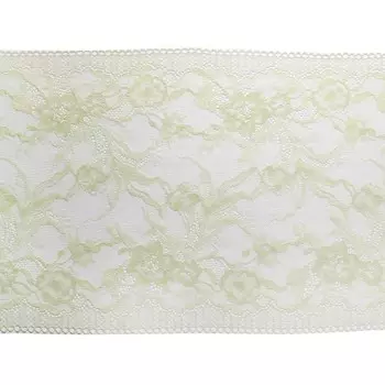 Кружево эластичное 22 см/10 м (салатовый)